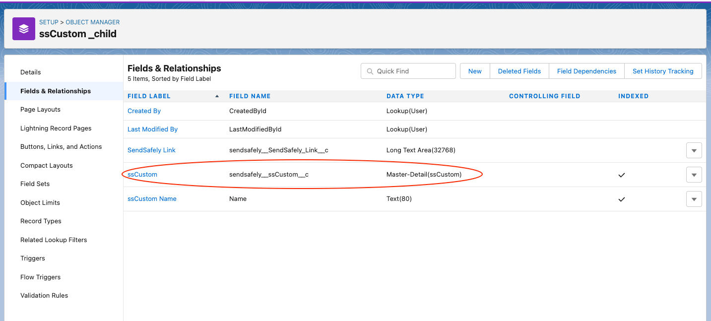 SFDC_Custom_Object_App_SS_4.1.png