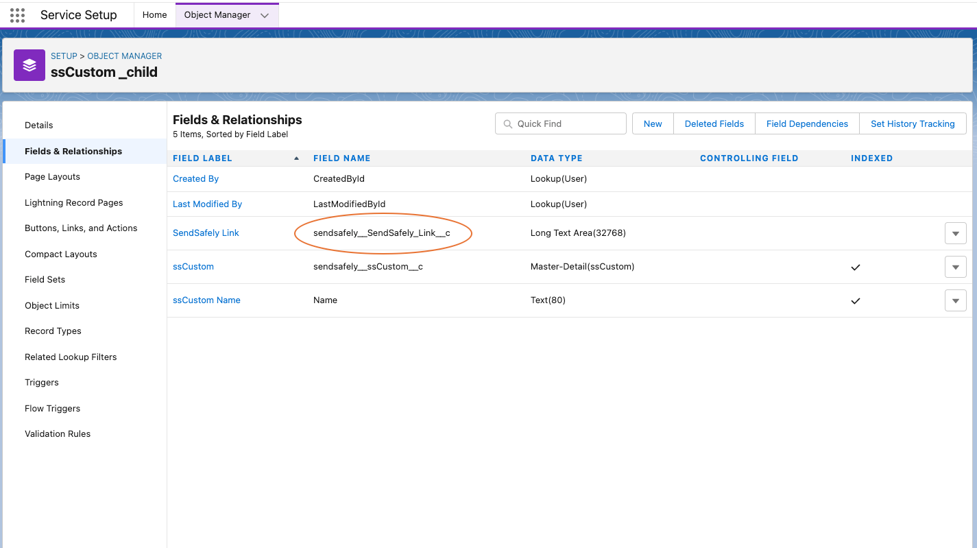 SFDC_Custom_Object_App_SS_3.1.png